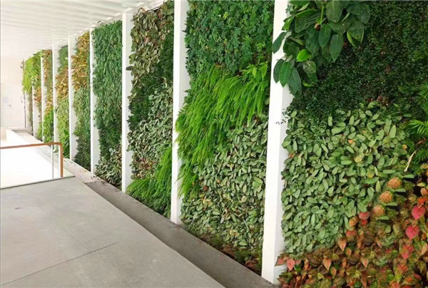 美术馆植物墙展示
